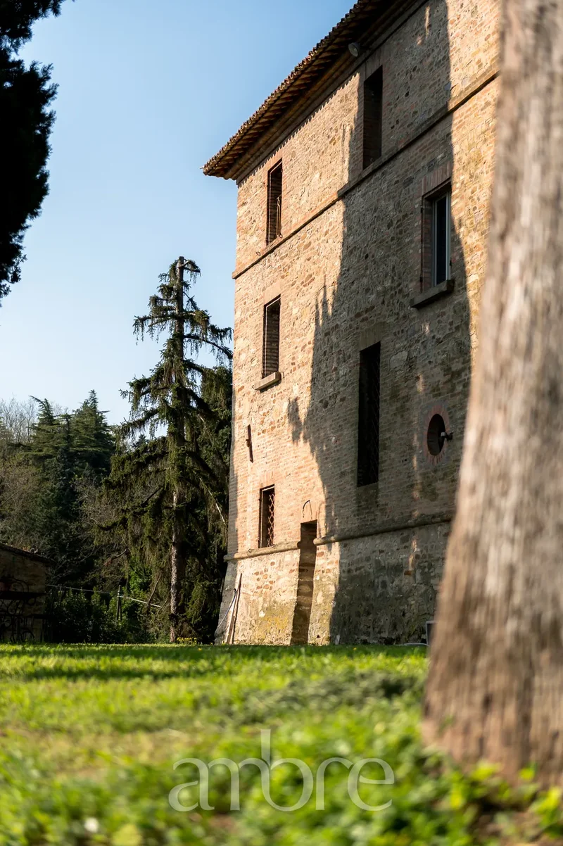 47032 Bertinoro, Province of Forlì-Cesena, Italy, Bertinoro, Emilia-Romagna, Italy. - Photo 31