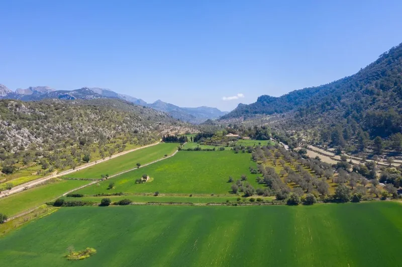 Bunyola, Balearic Islands, Spain. - Photo 3