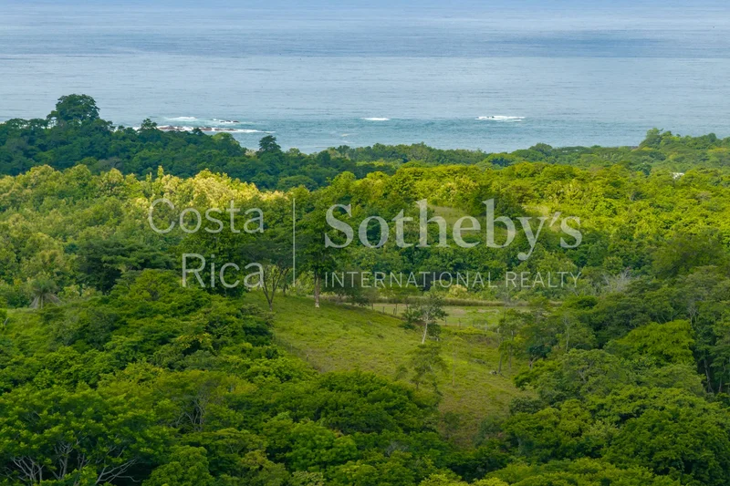 Agricultural Land With Predesign For 70 Parcels