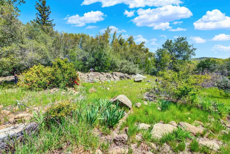 3497 Soda Canyon Road , Napa, CA 94558, Napa, California, United States. - Photo 40