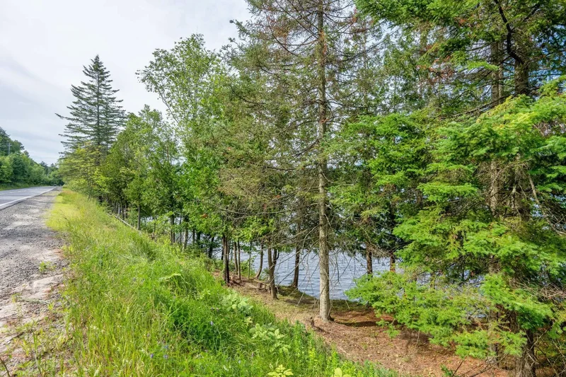 2335 Rue Labelle, Laurentides, Mont-Tremblant, Quebec, Canada. - Photo 12