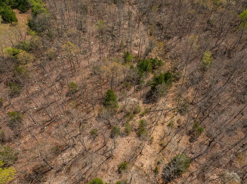 2722 Co Rd 347, Koshkonong, MO 65692, Koshkonong, Missouri, United States. - Photo 56
