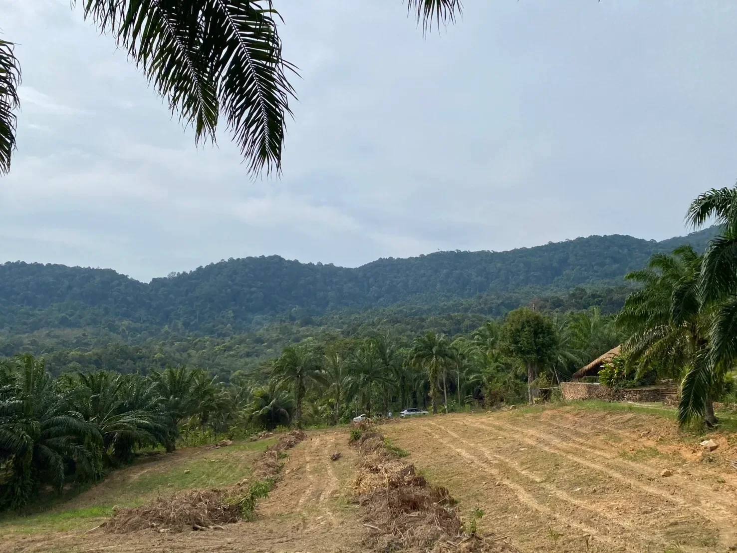 Krabi,, Nong Thale, Krabi, Thailand. - Photo 14