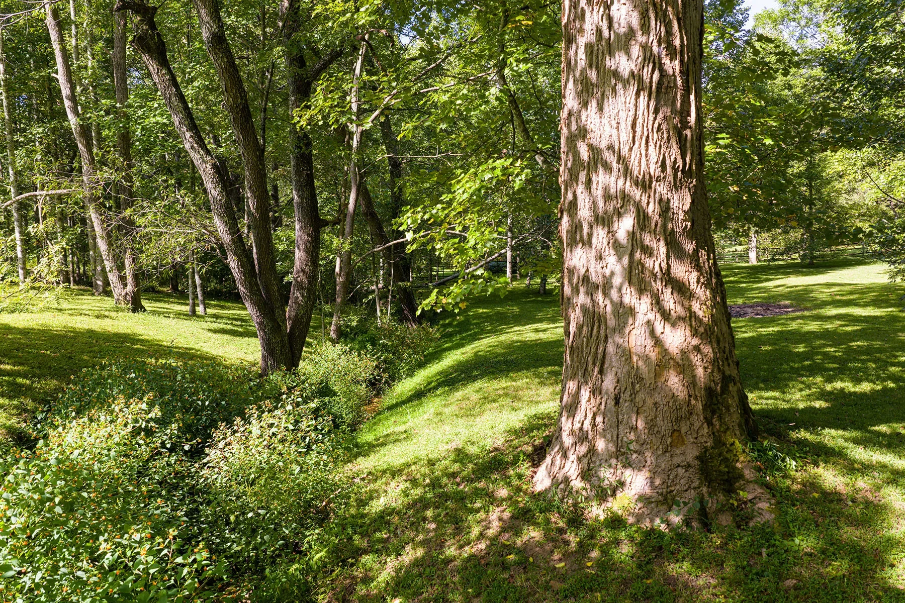 147 Dye Leaf Road, Fairview, NC 28730, Fairview, North Carolina, United States. - Photo 33