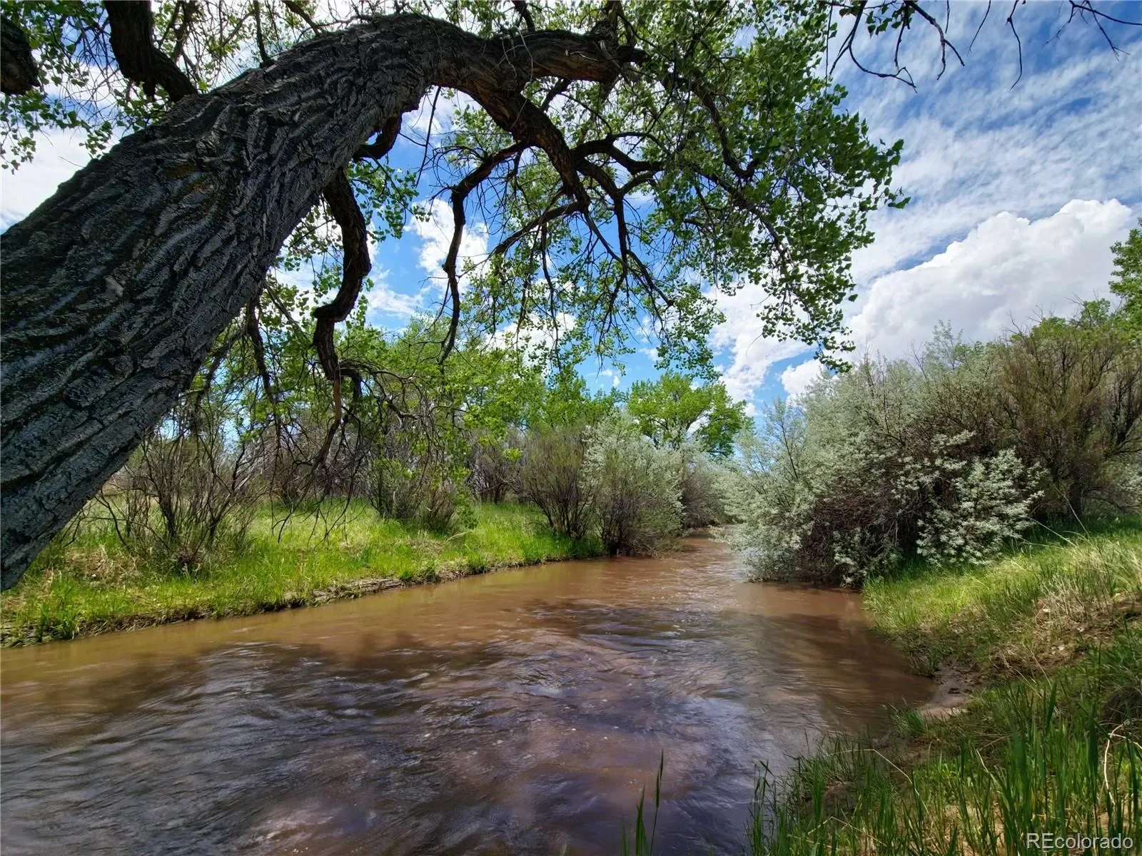 Walsenburg, Colorado, United States. - Photo 6