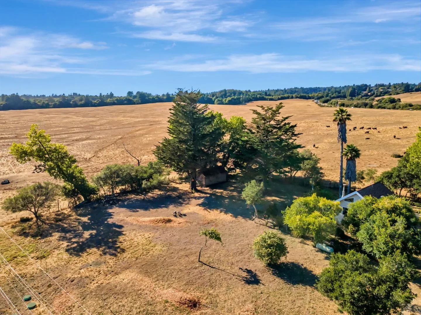 222 Highview Drive, Santa Cruz, California, United States. - Photo 27