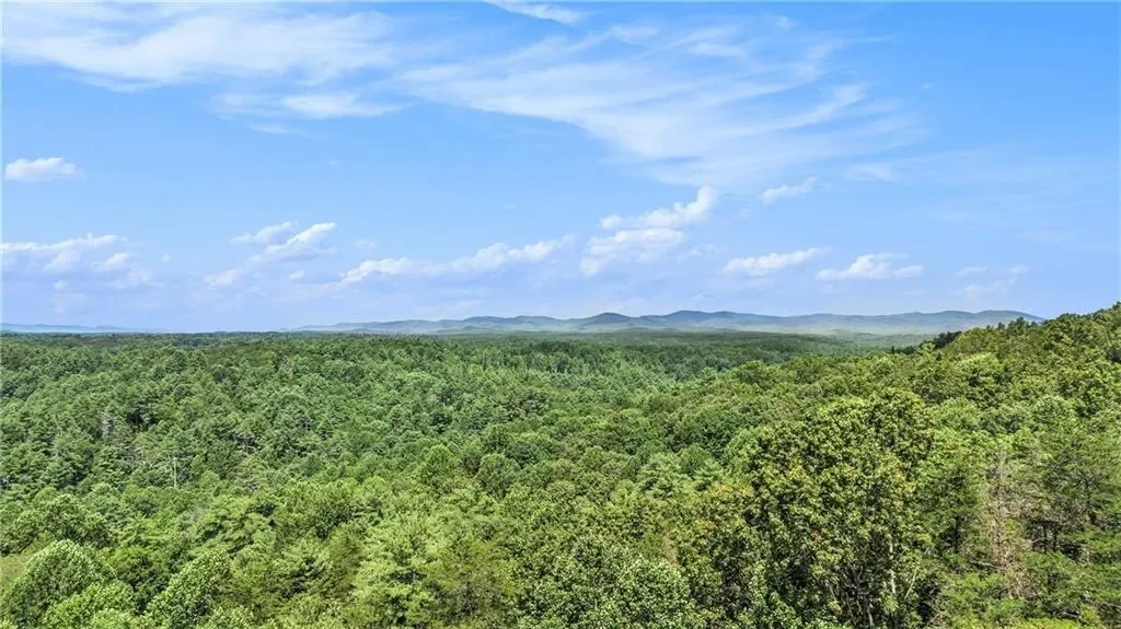 221 Laurel Circle, Dahlonega, Georgia, United States. - Photo 52