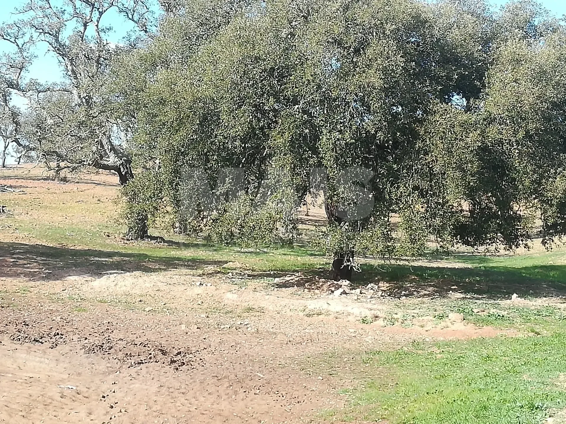 Gallery photo 2