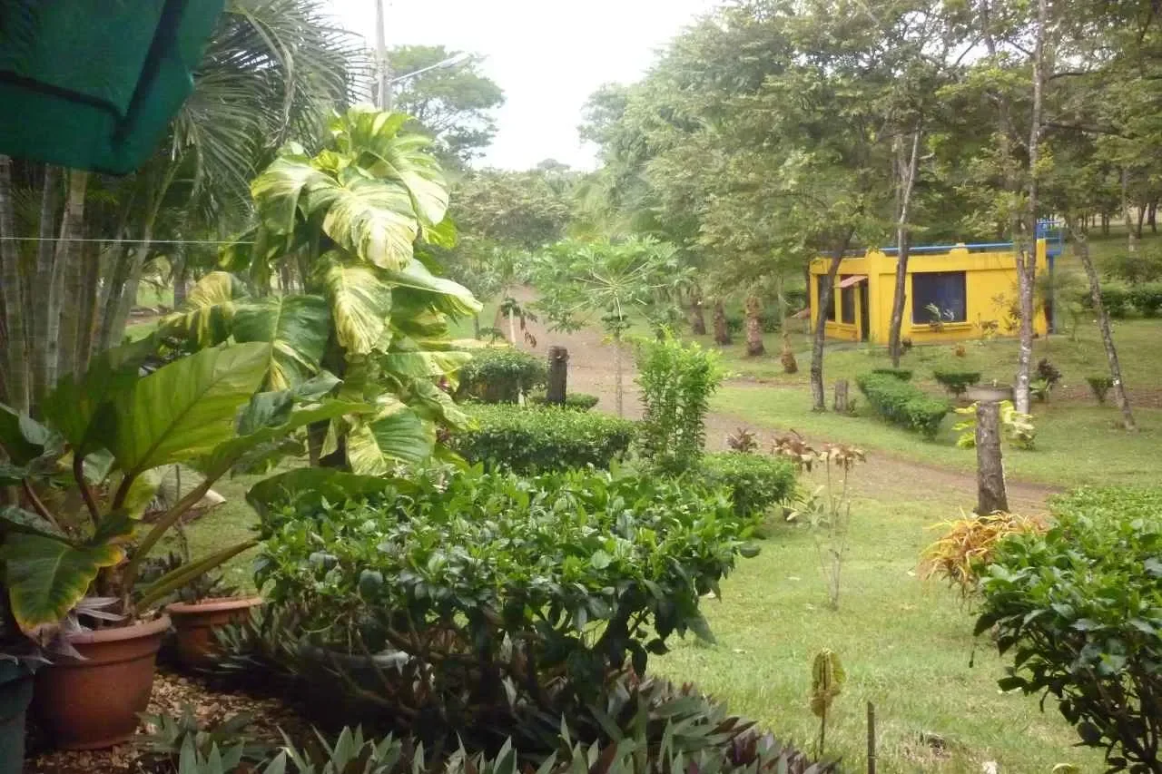 Guanacaste Province, Santa Cruz, Costa Rica, Santa Cruz, Guanacaste Province, Costa Rica. - Photo 16