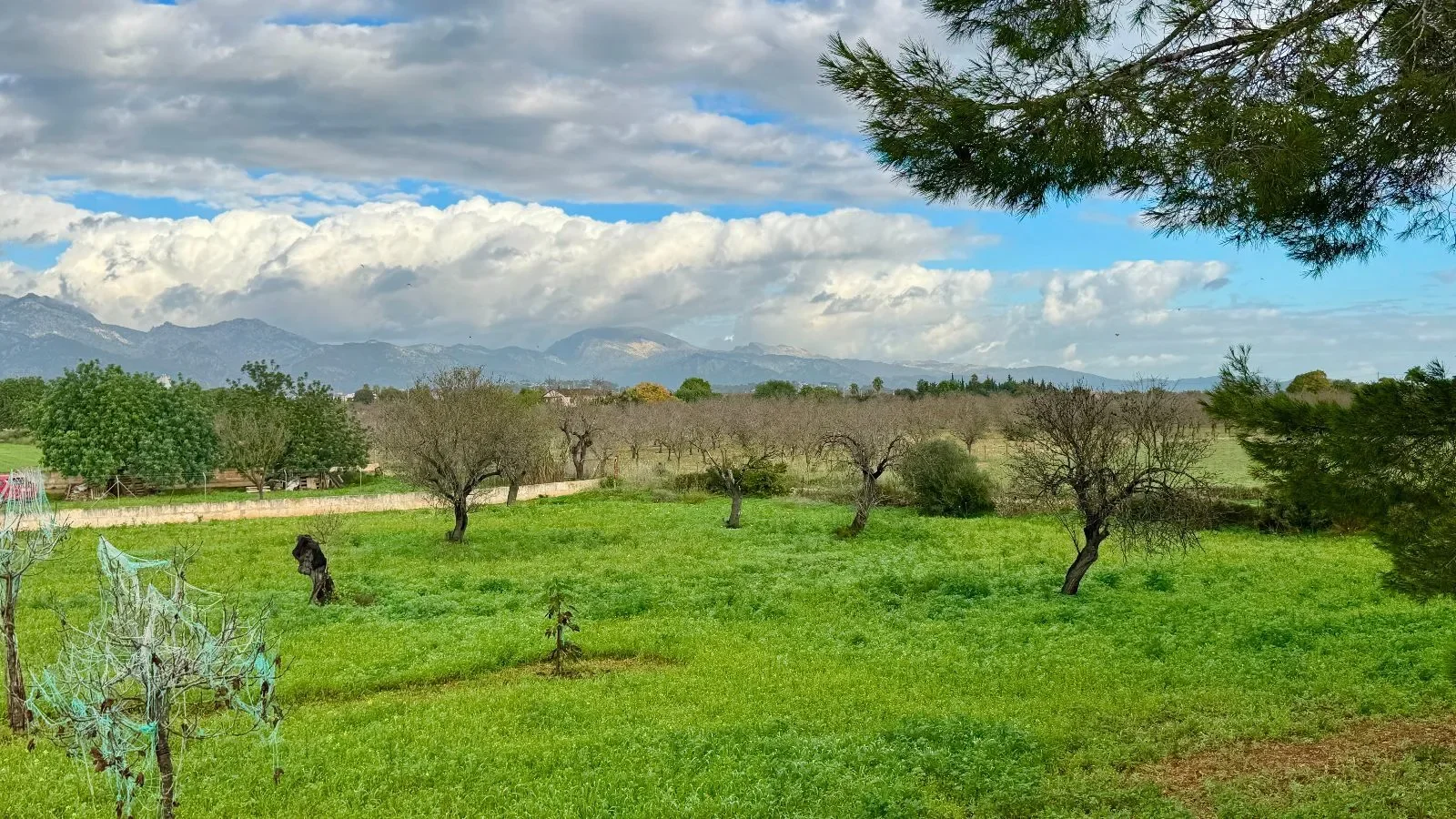 Inca Fincas / Casas Rurales