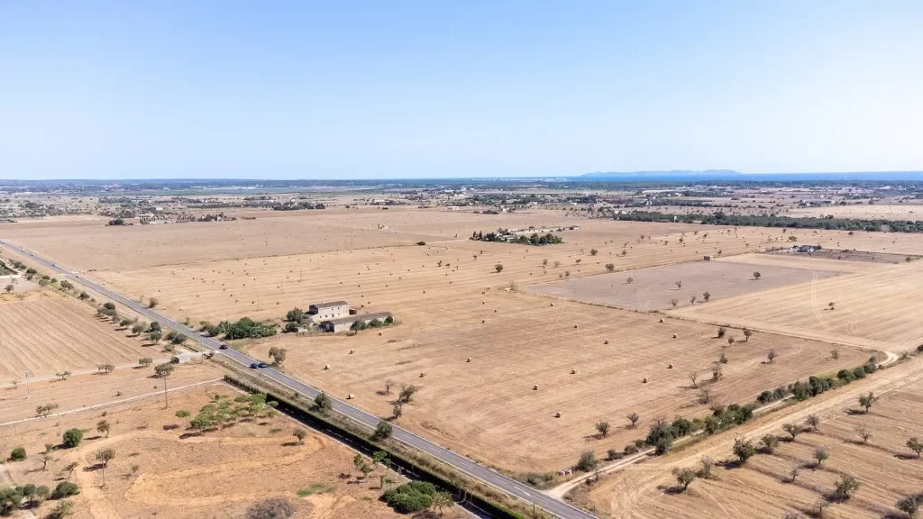 Baleares, Campos, Balearic Islands, Spain. - Photo 10