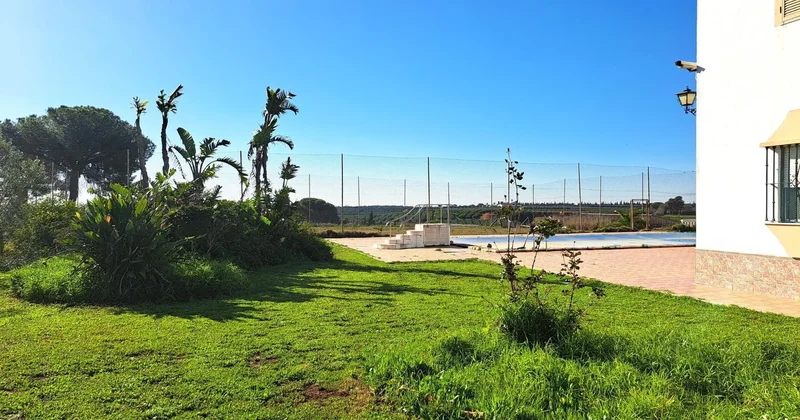 Sevilla, Mairena del Alcor, SEVILLA, Mairena del Alcor, Mairena del Alcor, Andalusia, Spain. - Photo 35