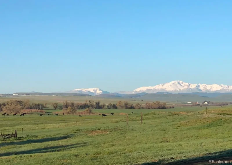 6597 S State Highway 83, Franktown, Colorado, United States. - Photo 11
