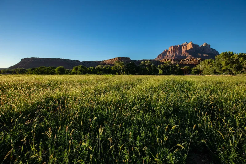 250 So Bridge Road , Rockville, UT 84763, Hurricane, Utah, United States. - Photo 21