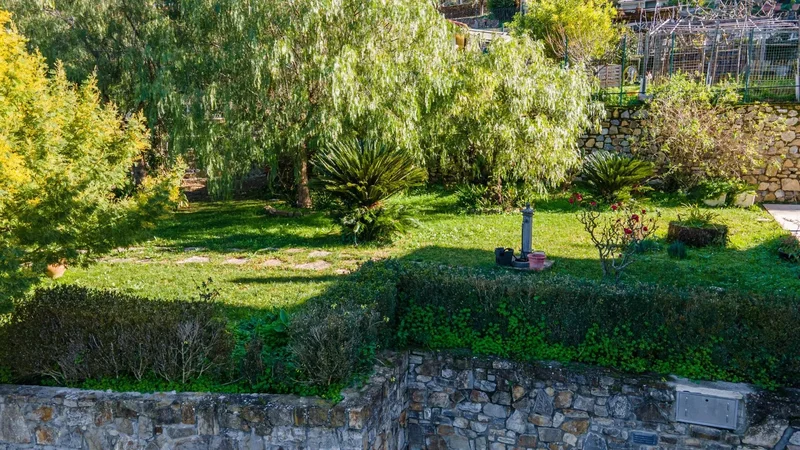 regione nofea vallecrosia, Vallecrosia, Liguria, Italy. - Photo 10