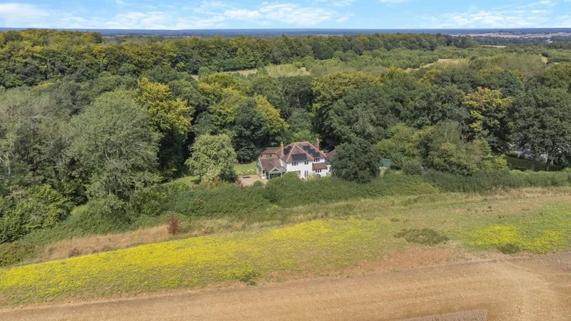 Powntley Copse, Hampshire, Alton, England, United Kingdom. - Photo 7