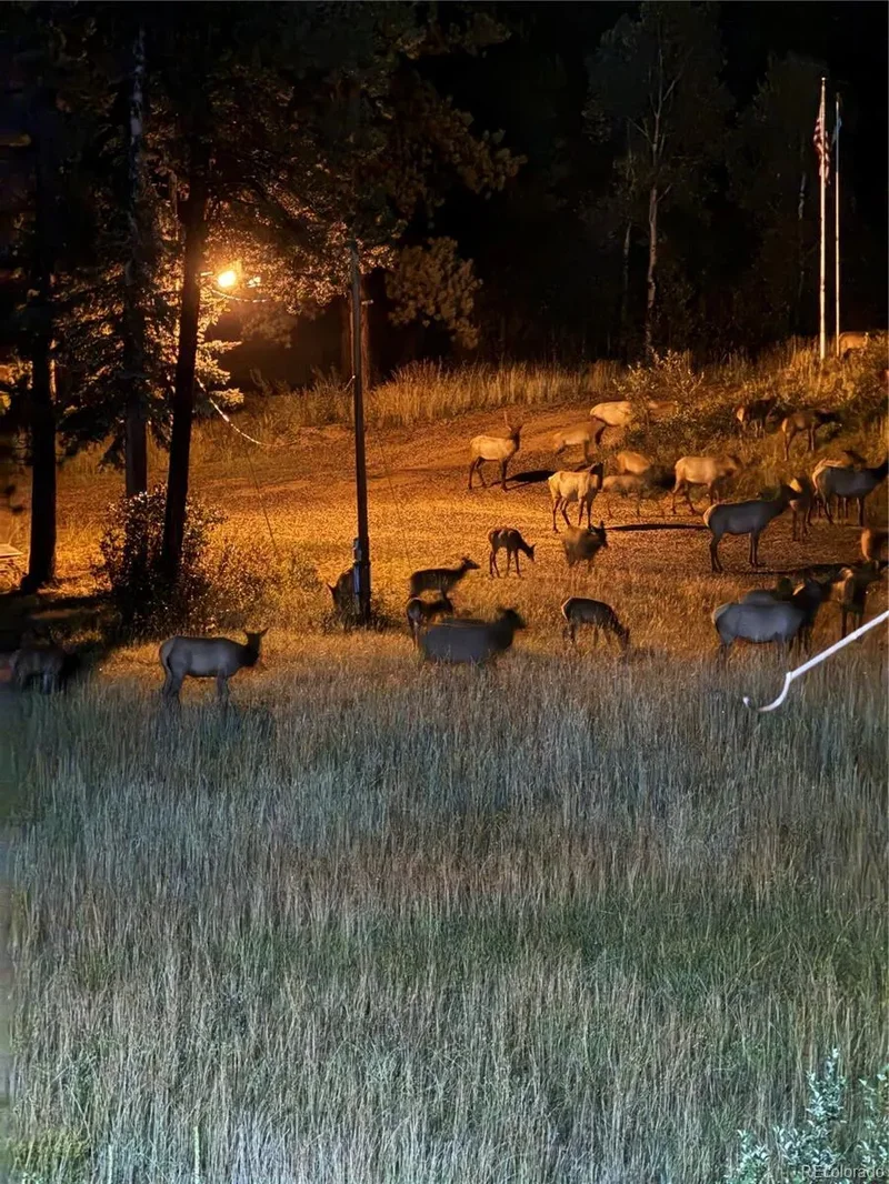 60 N County Highway 67, Sedalia, Colorado, United States. - Photo 48