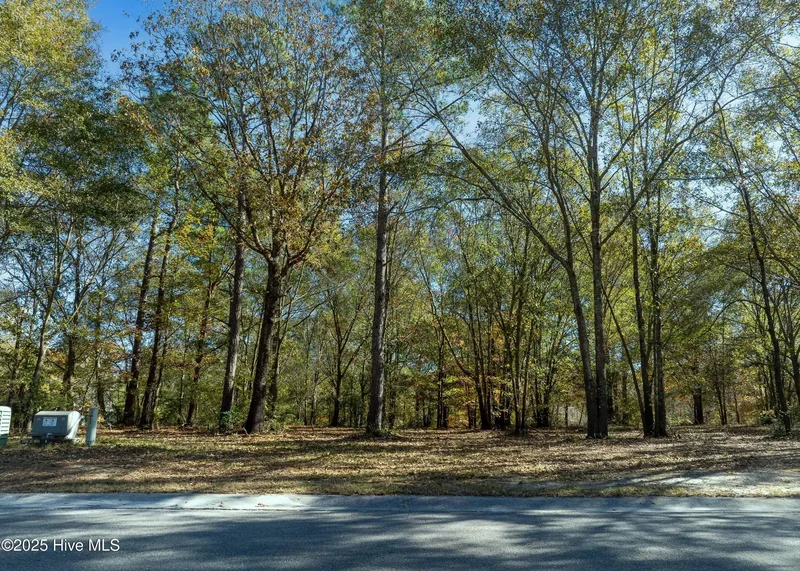 167 River Ridge Drive, Wallace, North Carolina, United States. - Photo 19
