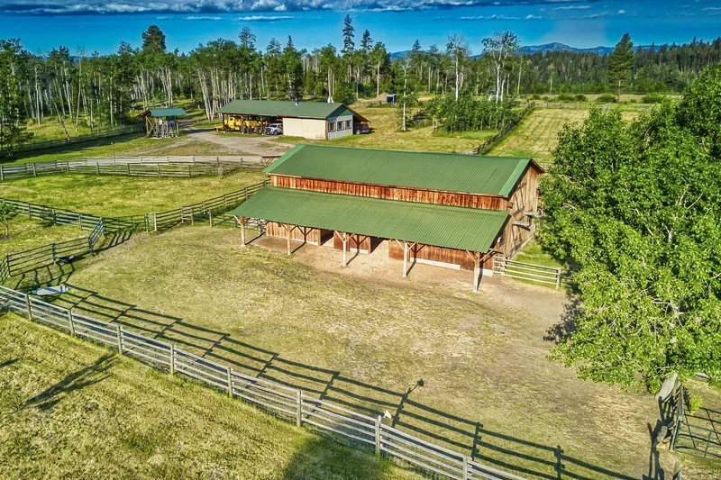 1000 Halfway Lake Road, Princeton, BC V0X 1W0, Thalia, British Columbia, Canada. - Photo 51