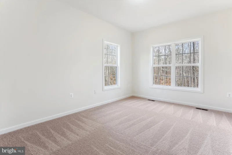 LOT 6 Ryland Chapel Road, Rixeyville, VA 22737, Rixeyville, Virginia, United States. - Photo 33