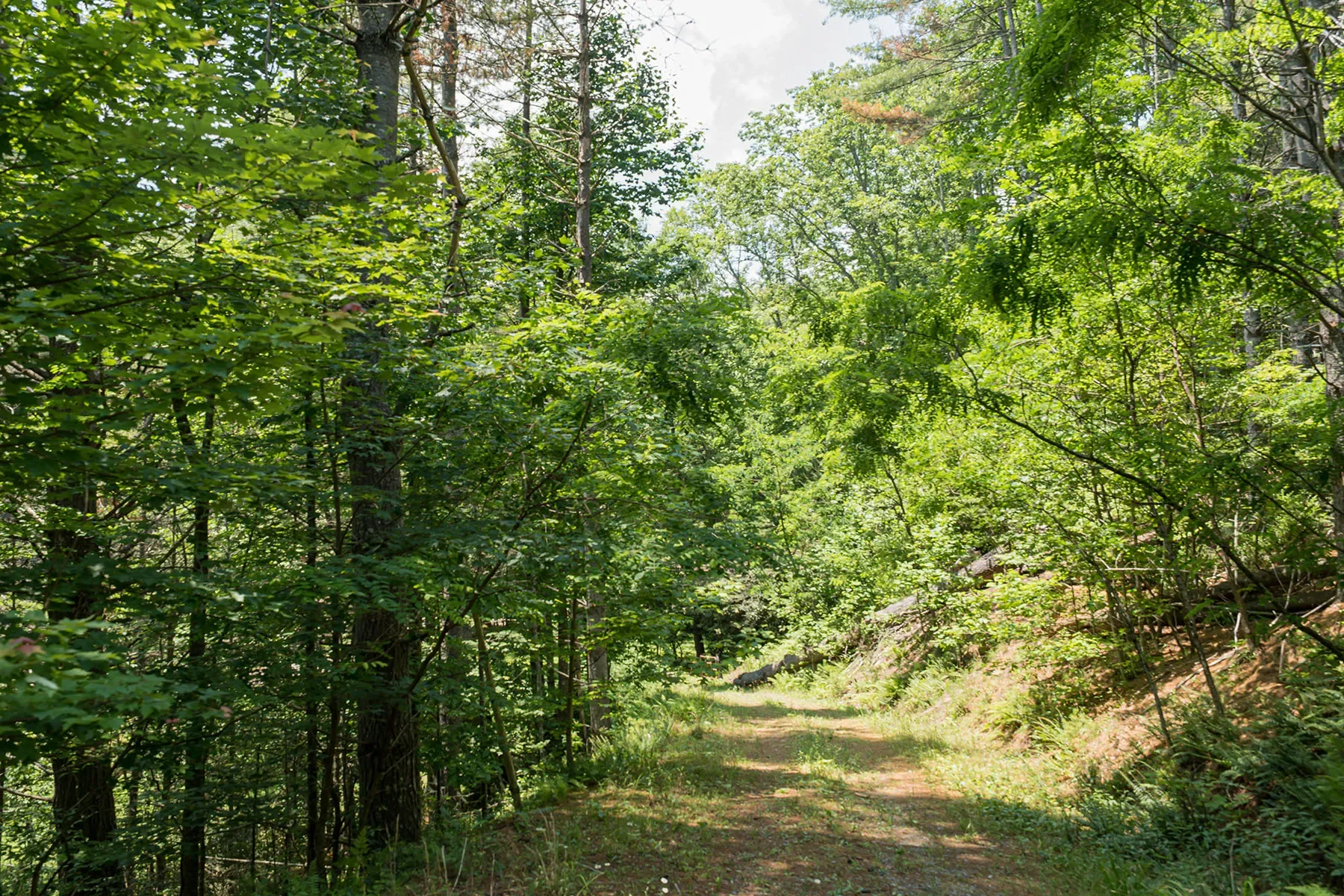 1000 Sutton Creek Road, Pisgah Forest, NC 28768, Mills River, North Carolina, United States. - Photo 10