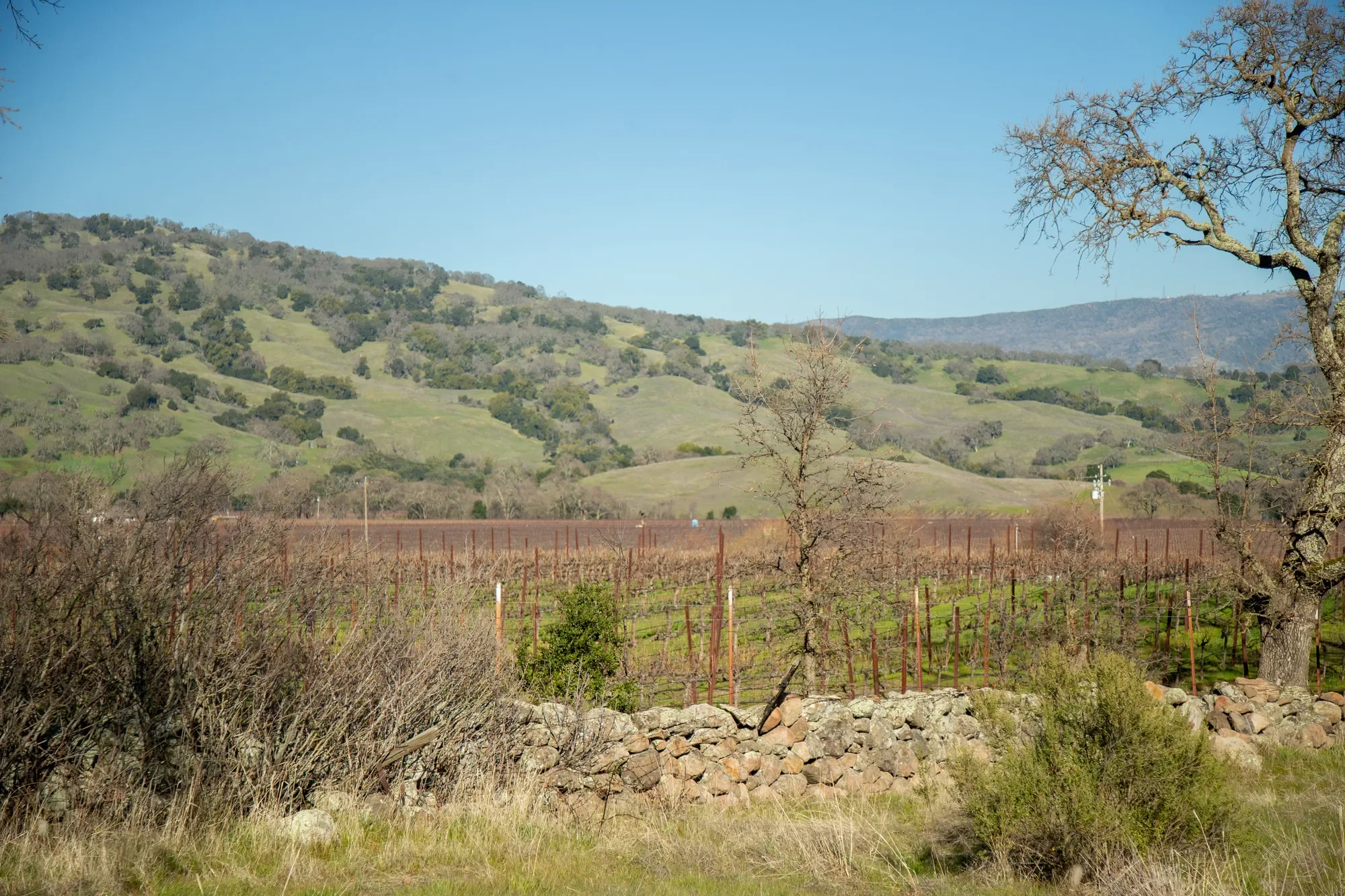 3576 Monticello Road , Napa, CA 94558, Napa, California, United States. - Photo 19