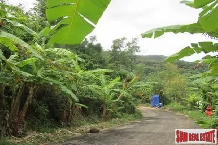 Phuket,, Karon, Phuket, Thailand. - Photo 8