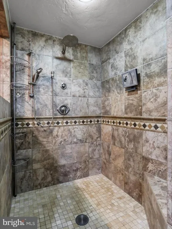 1240 BOY SCOUT RD ROAD, OAKLAND, MD 21550, McHenry, Maryland, United States. - Photo 61