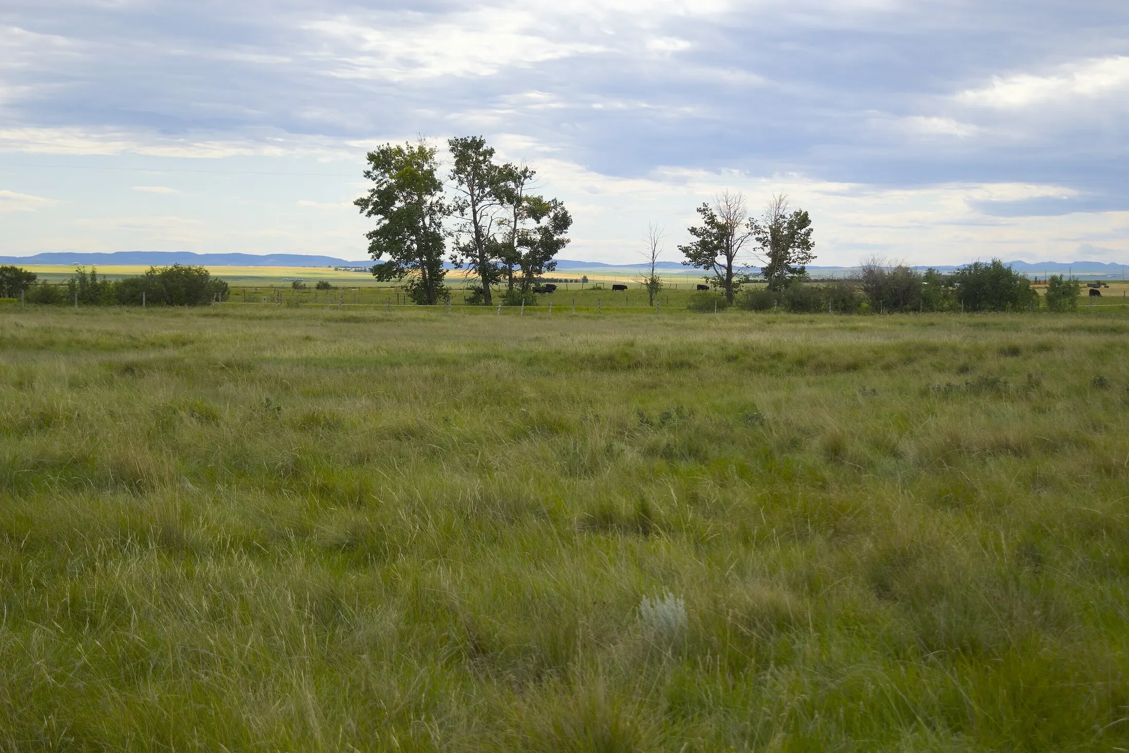 Gallery photo 10
