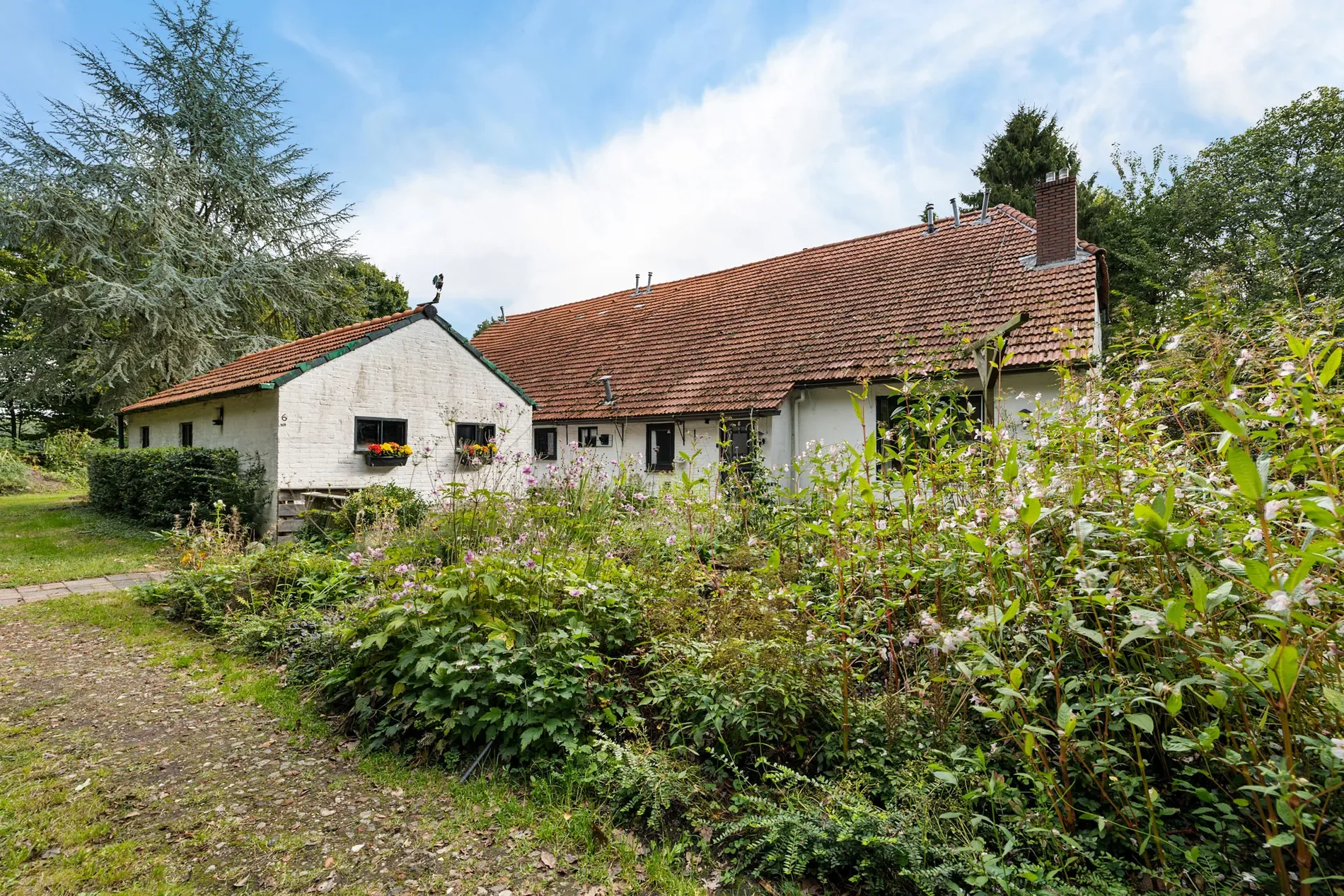 Exterior photo 8
