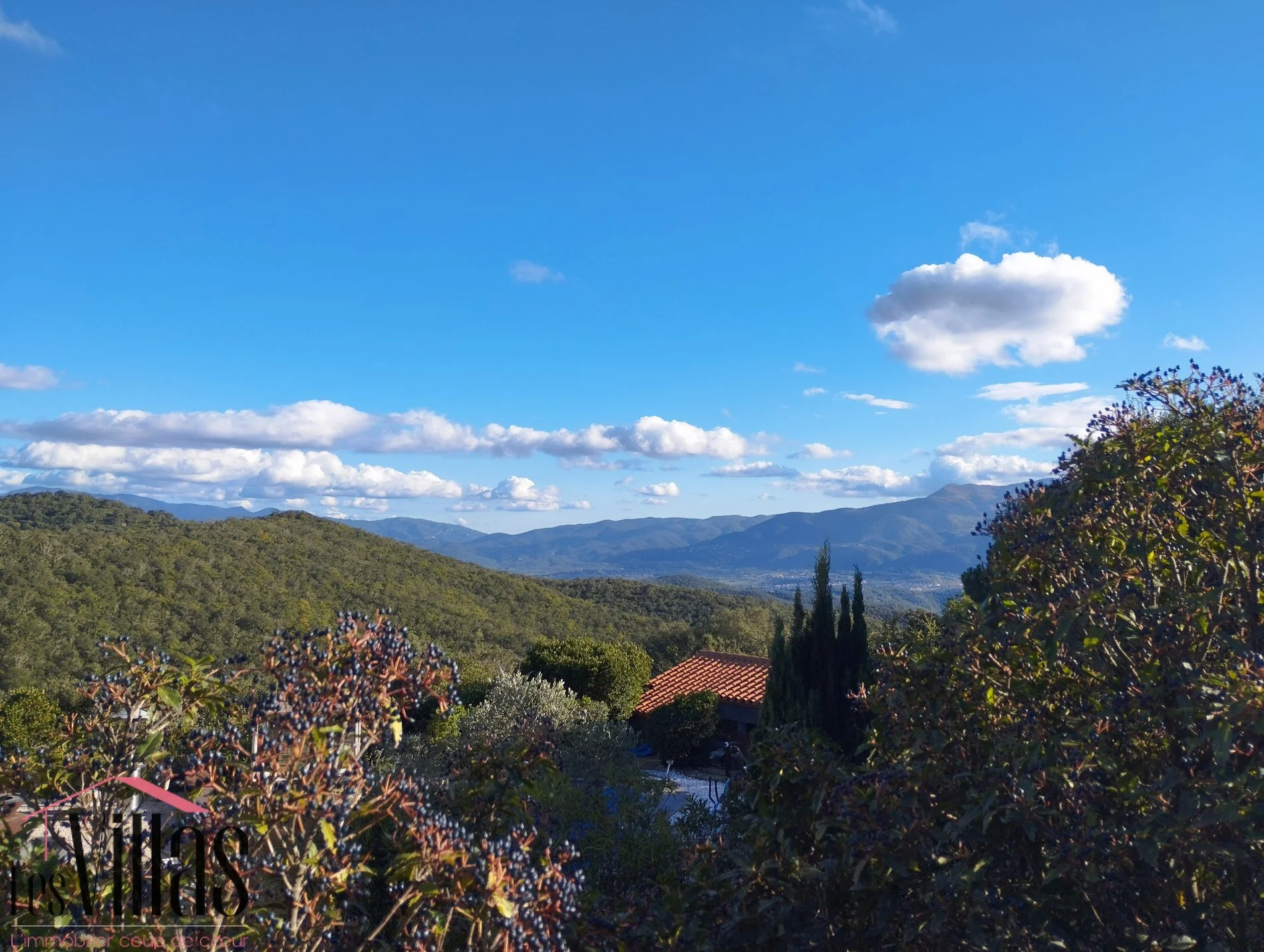 Céret, Occitanie, France. - Photo 5