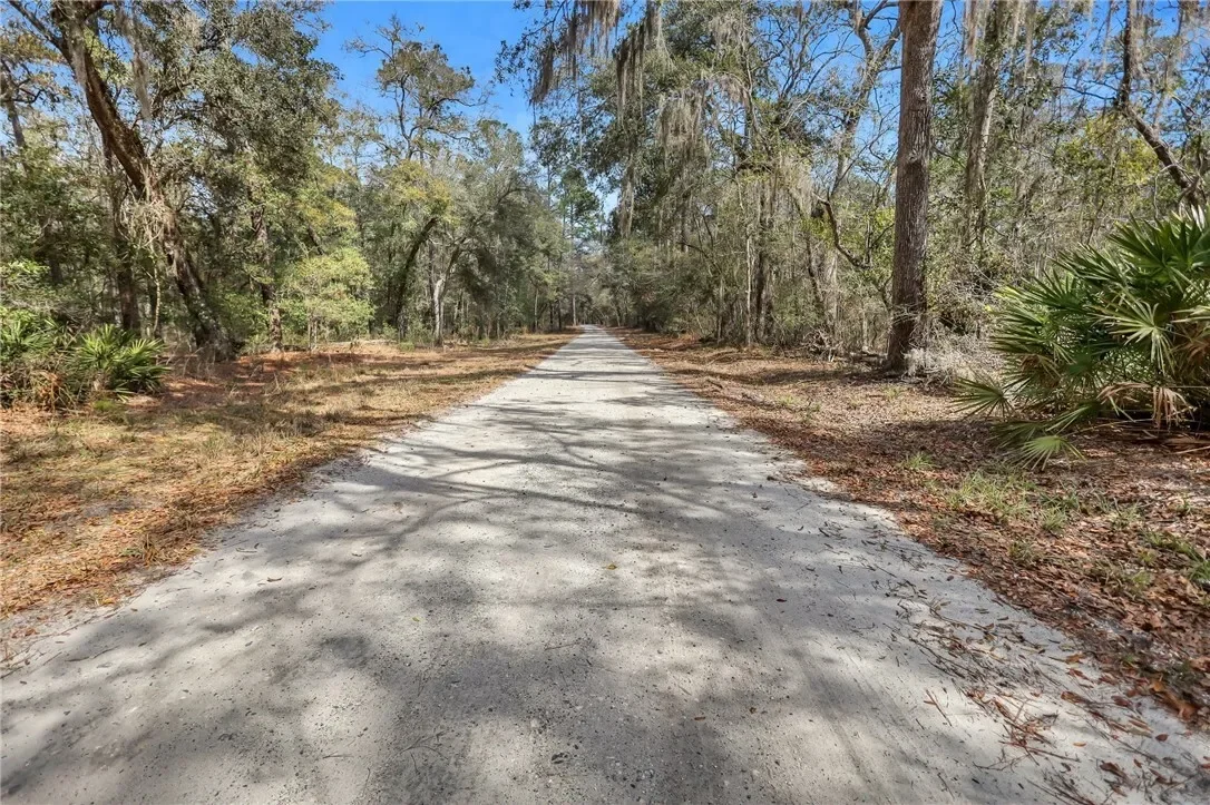 0 Drizzle Bluff Road, Woodbine, GA 31569, Woodbine, Georgia, United States. - Photo 7