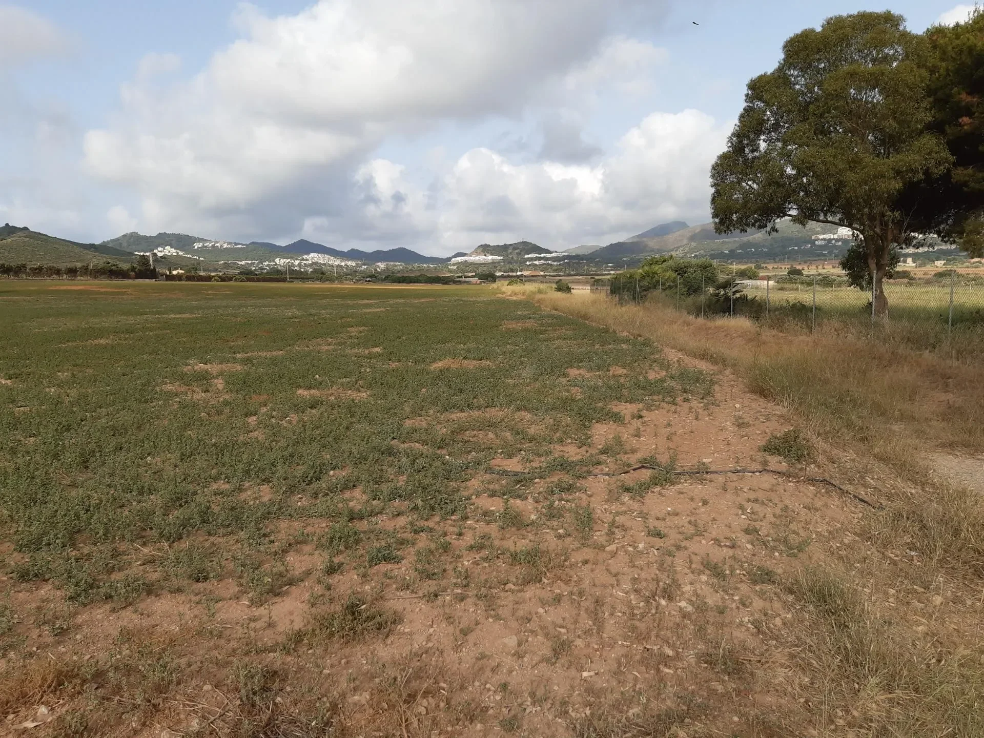 Large Plot To Build Your Dream Home!