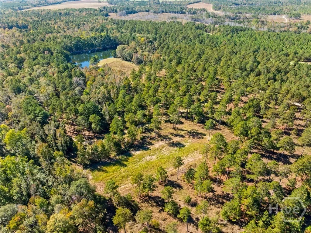 0 Honey Ridge Road, Millen, Georgia, United States. - Photo 56
