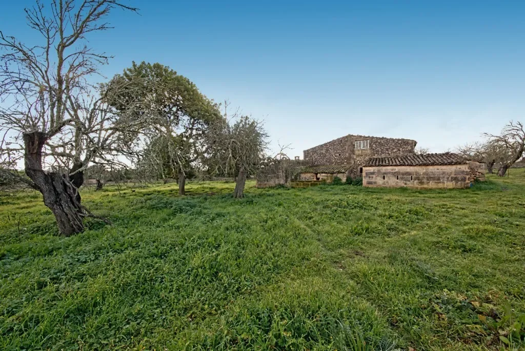 Baleares, Maria de la Salut, Balearic Islands, Spain. - Photo 7