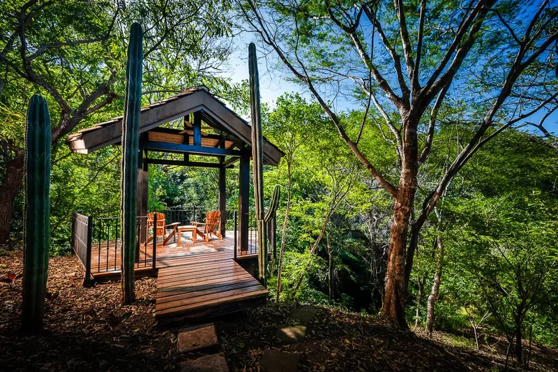 Cañafistula, Villareal, Guanacaste Province, Costa Rica. - Photo 26