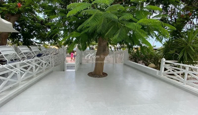 Fañabé, Adeje, Santa Cruz de Tenerife, Adeje, Costa Adeje, Adeje, Canary Islands. - Photo 10