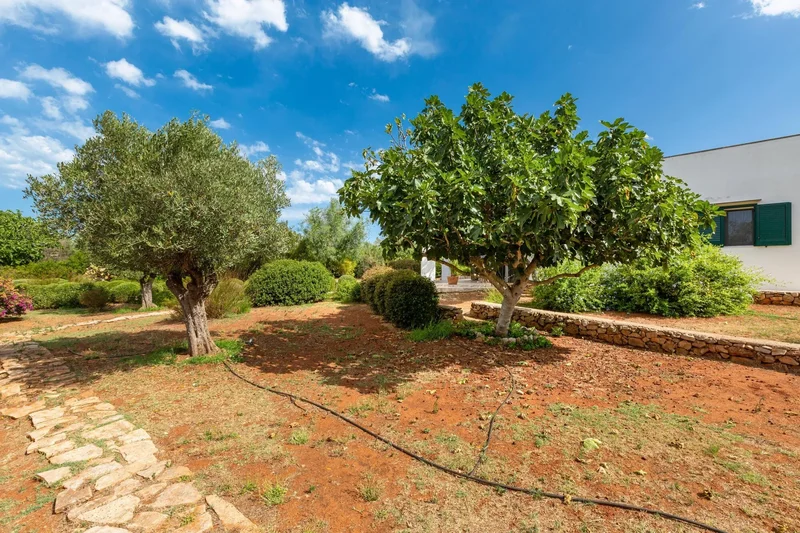 73050 Salve, Province of Lecce, Italy, Salve, Apulia, Italy. - Photo 13