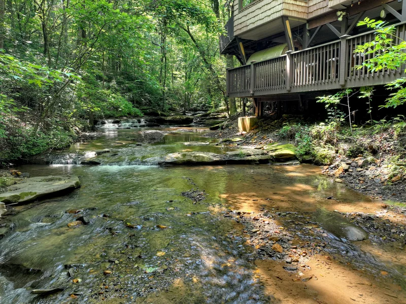 7843 W Hwy 382, Ellijay, GA 30540, Ellijay, Georgia, United States. - Photo 54