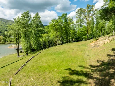 Thumbnail 16