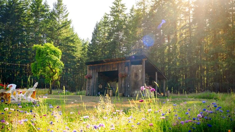 19680 Noll Rd , Poulsbo, WA 98370, Poulsbo, Washington, United States. - Photo 36