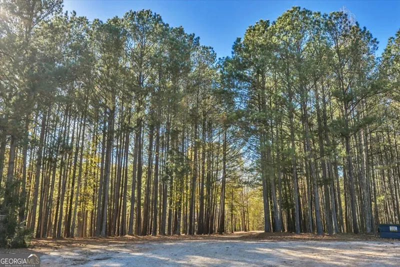 Senoia, Georgia, United States. - Photo 59