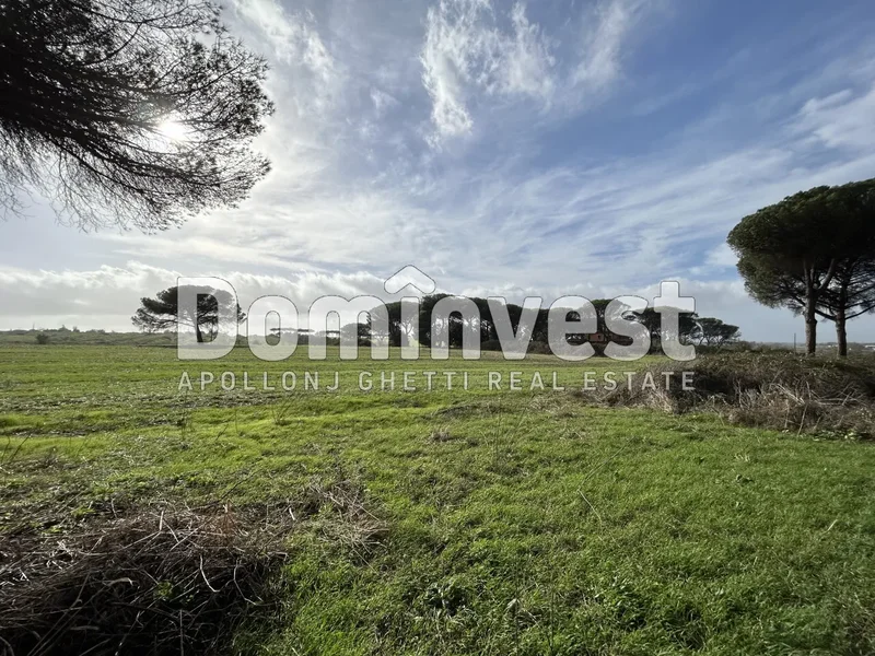 viale della Repubblica, Rome, Lazio, Italy. - Photo 53