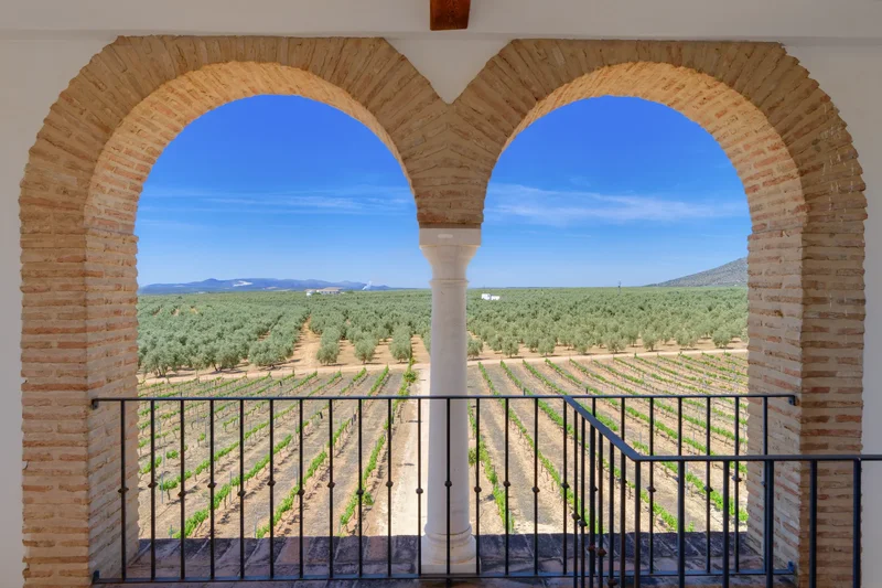 29532 Mollina, Málaga, Spain, Mollina, Andalusia, Spain. - Photo 16