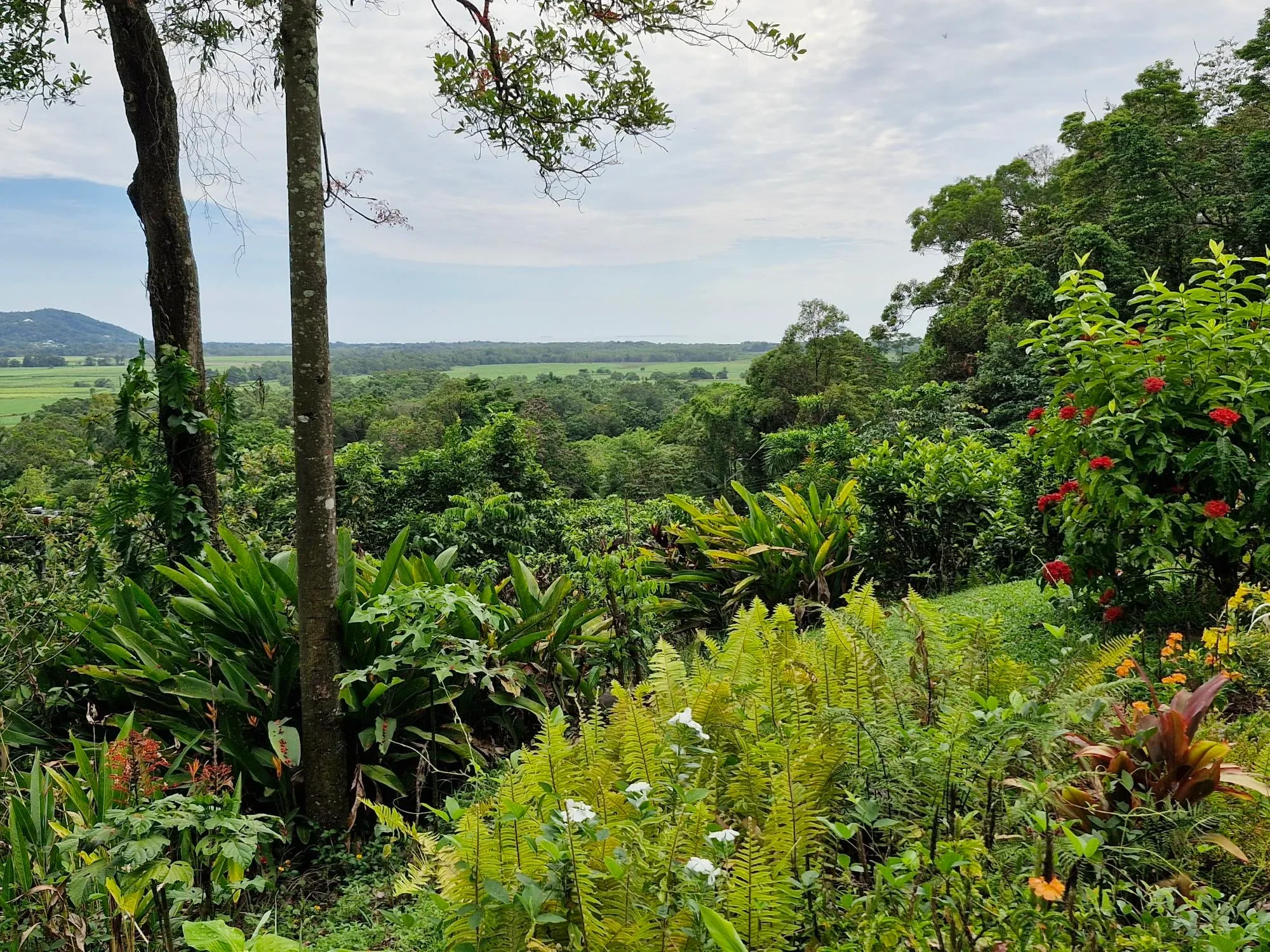 Miallo, Somerset Drive, Miallo, Queensland, Australia. - Photo 6