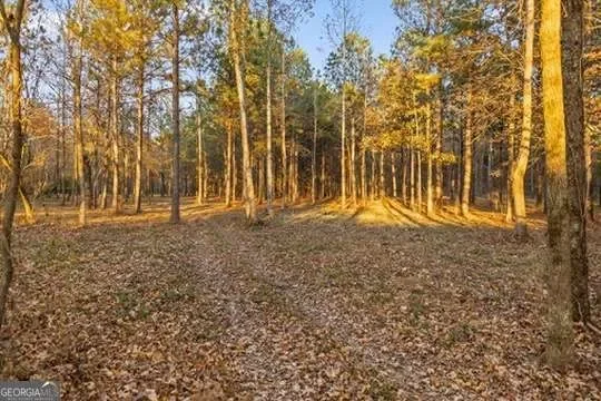Chatsworth, Georgia, United States. - Photo 68