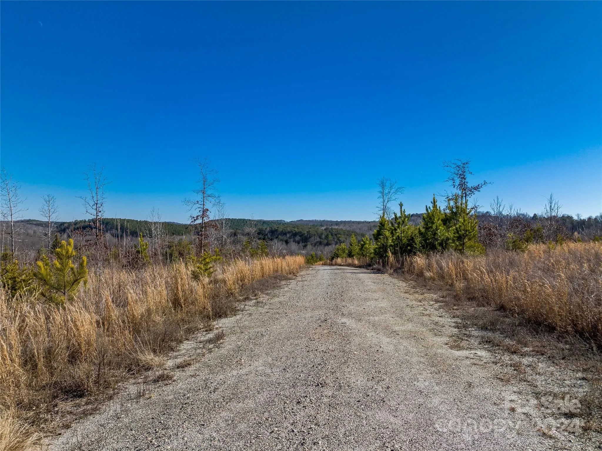 99999 Sunnyview Drive, Rutherfordton, NC 28756, Rutherfordton, North Carolina, United States. - Photo 18