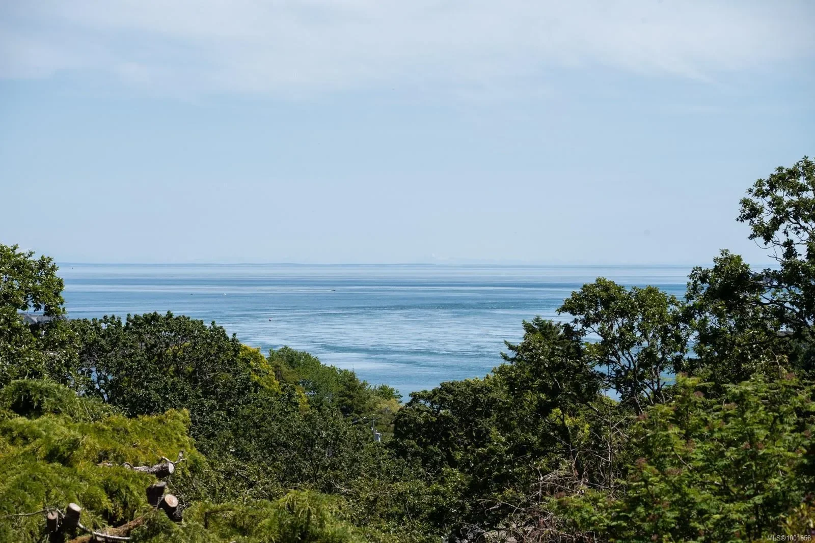 305 Denison Rd, Oak Bay, British Columbia, Canada. - Photo 42