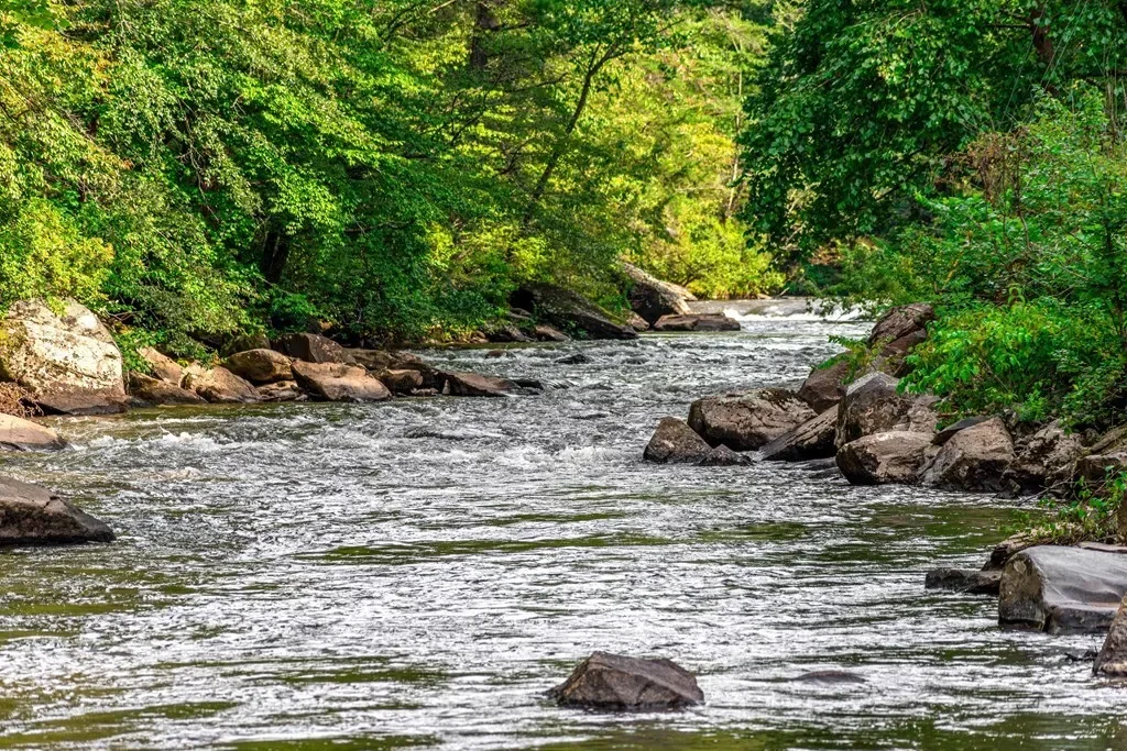 55 River Bend Lane, Blue Ridge, Georgia, United States. - Photo 8
