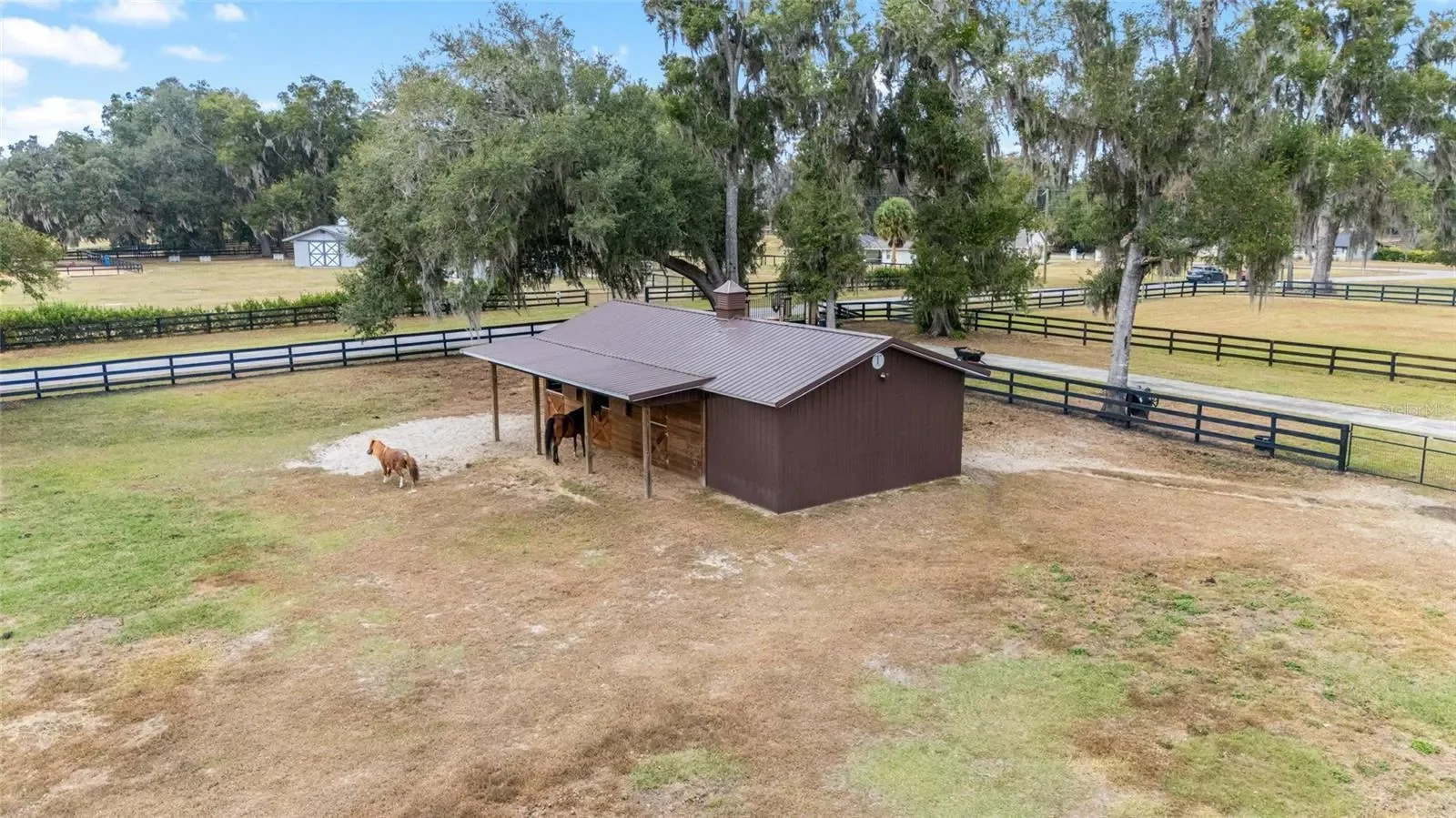 12009 NE 8TH COURT, Ocala, Florida, United States. - Photo 47